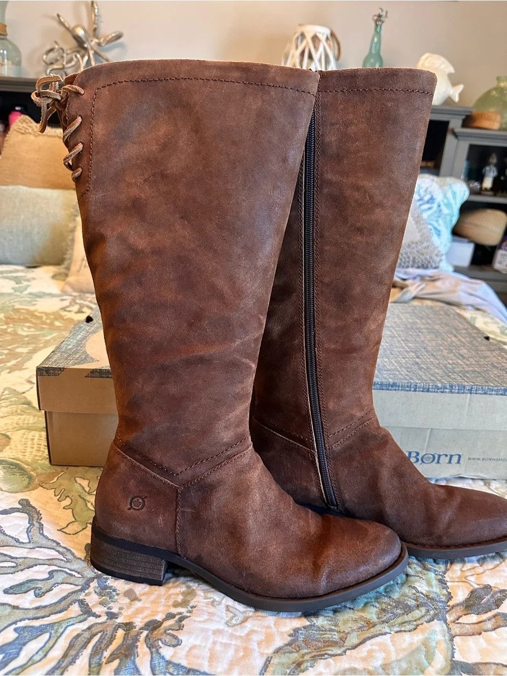 Hayden Brown Suede Over-the-Knee Boots
